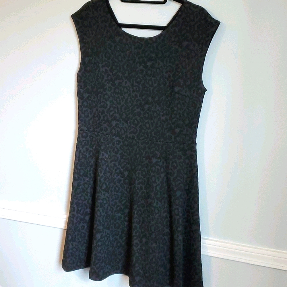 Loft Leopard Print Dress
